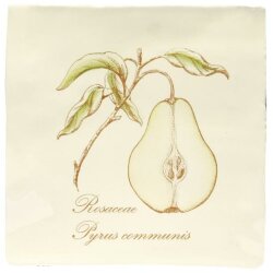 Pear (W.HP2522)